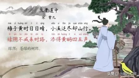 三衢道中的意思？