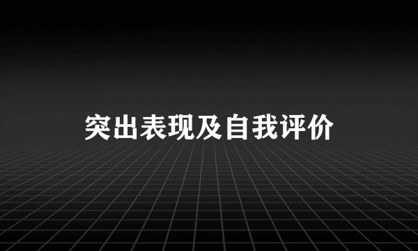 突出表现及自我评价