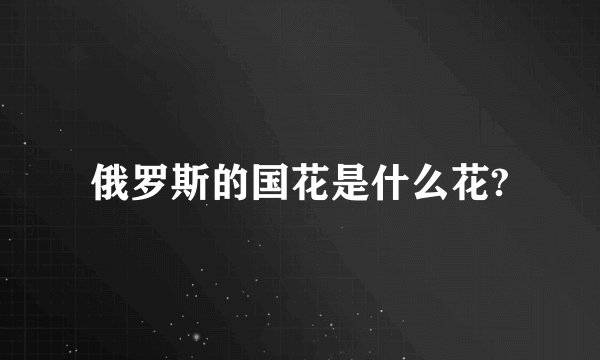 俄罗斯的国花是什么花?
