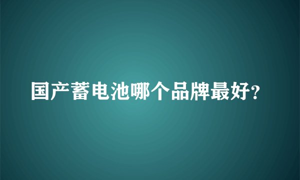 国产蓄电池哪个品牌最好?