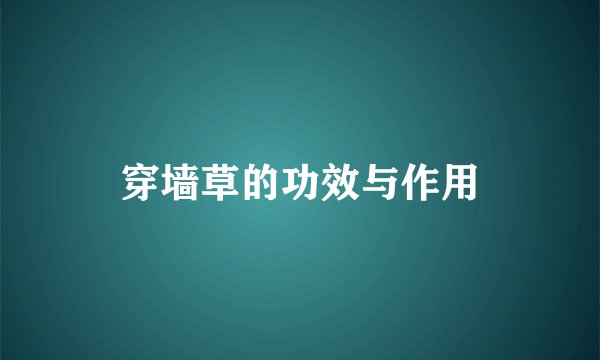 穿墙草的功效与作用