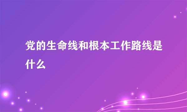 党的生命线和根本工作路线是什么