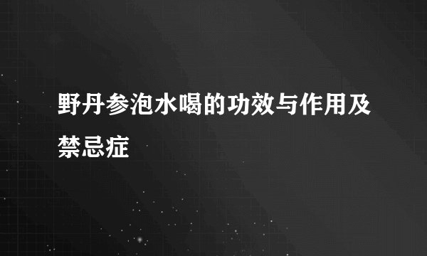 野丹参泡水喝的功效与作用及禁忌症