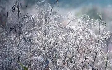 2023孟兰盆节是什么时候 2023孟兰盆节是几月几日