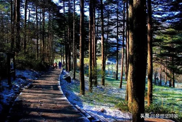 黄山三日游旅游攻略。尽量详细一些，谢谢？