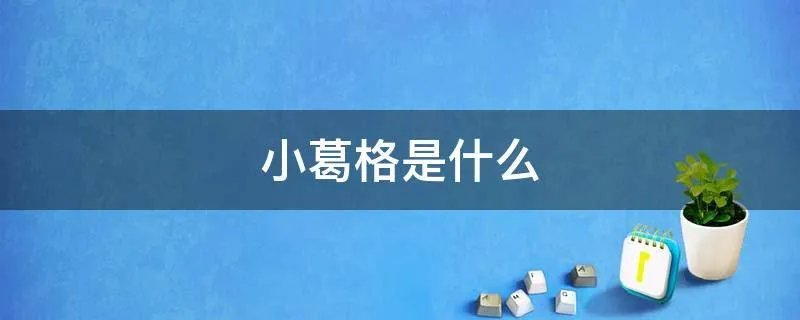 小葛格是什么