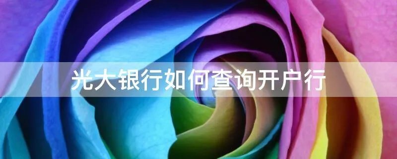 光大银行如何查询开户行