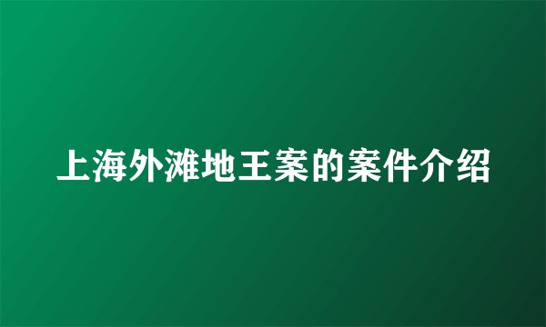 上海外滩地王案的案件介绍