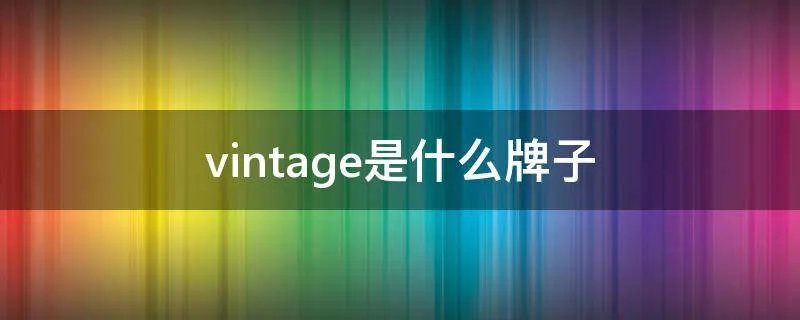 vintage是什么牌子
