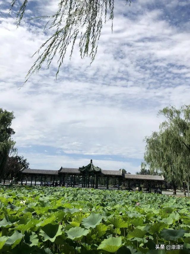 七夕的由来？