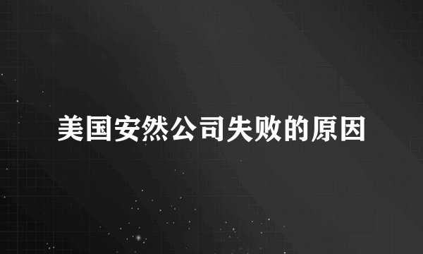 美国安然公司失败的原因