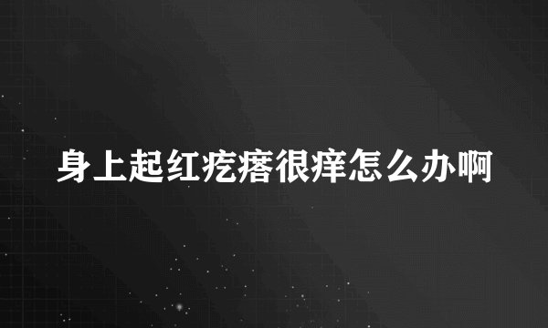 身上起红疙瘩很痒怎么办啊