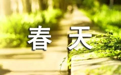 写春天的日记