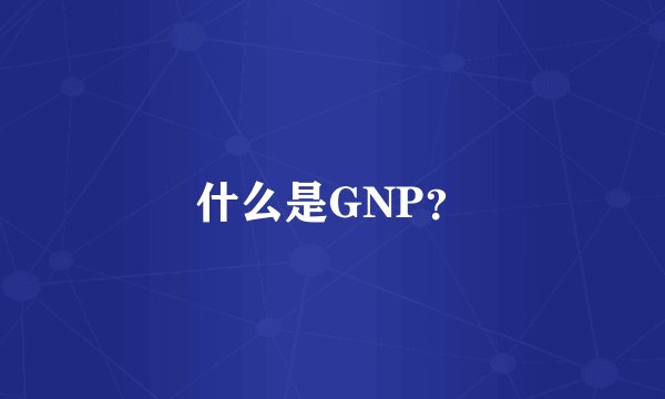 什么是GNP?