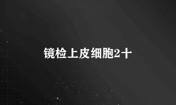 镜检上皮细胞2十