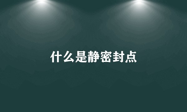 什么是静密封点