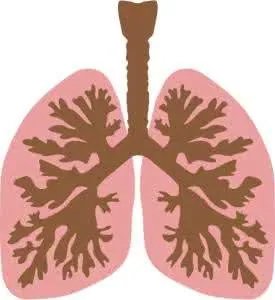 肺结核复发什么症状?