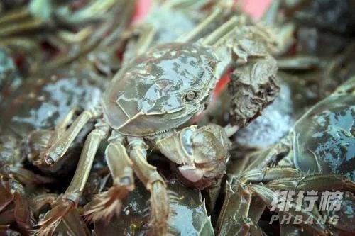 大闸蟹季节几月份上市2020_大闸蟹上市的时间
