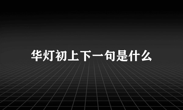 华灯初上下一句是什么