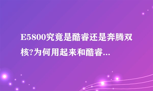 E5800究竟是酷睿还是奔腾双核?为何用起来和酷睿I3差不多?
