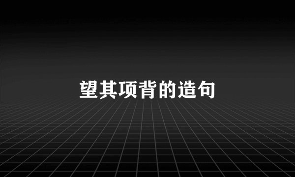 望其项背的造句