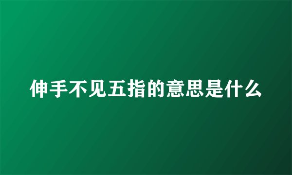 伸手不见五指的意思是什么