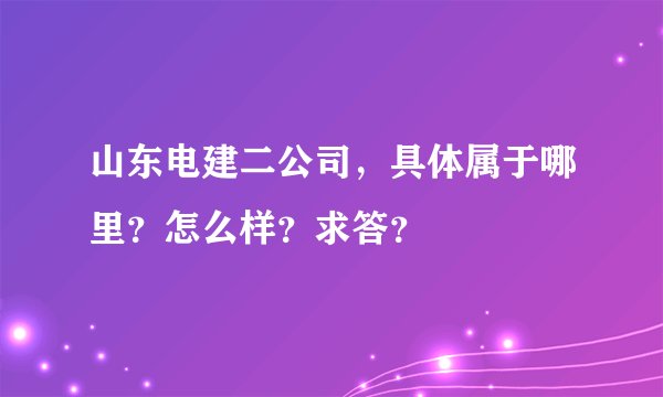 山东电建二公司,具体属于哪里?怎么样?求答?