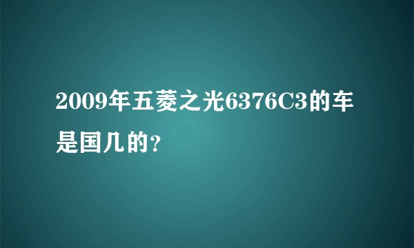 2009年五菱之光6376C3的车是国几的？
