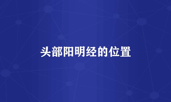 头部阳明经的位置