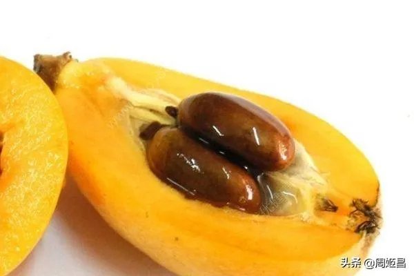 枇杷的营养价值及功效？