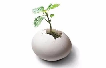创新工作方法?