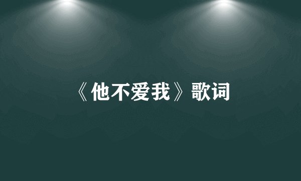 《他不爱我》歌词