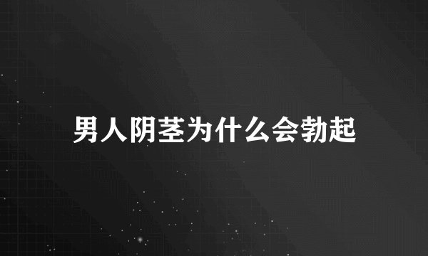 男人阴茎为什么会勃起
