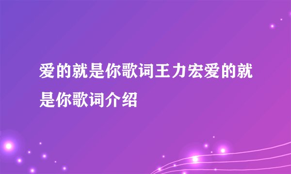 爱的就是你歌词王力宏爱的就是你歌词介绍