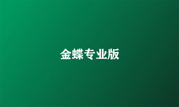 金蝶专业版