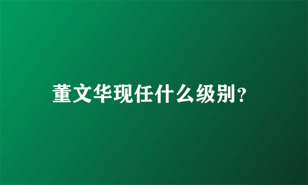 董文华现任什么级别?