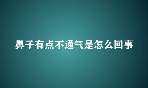 鼻子有点不通气是怎么回事