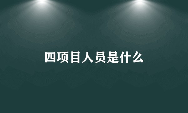 四项目人员是什么