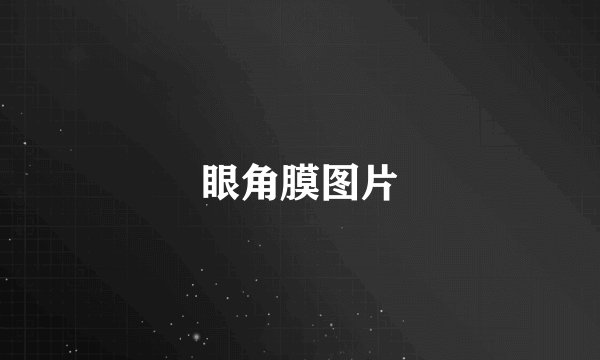 眼角膜图片