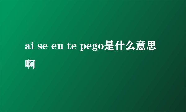 ai se eu te pego是什么意思啊