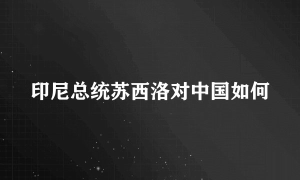 印尼总统苏西洛对中国如何