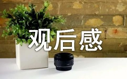 哈7观后感和杂记