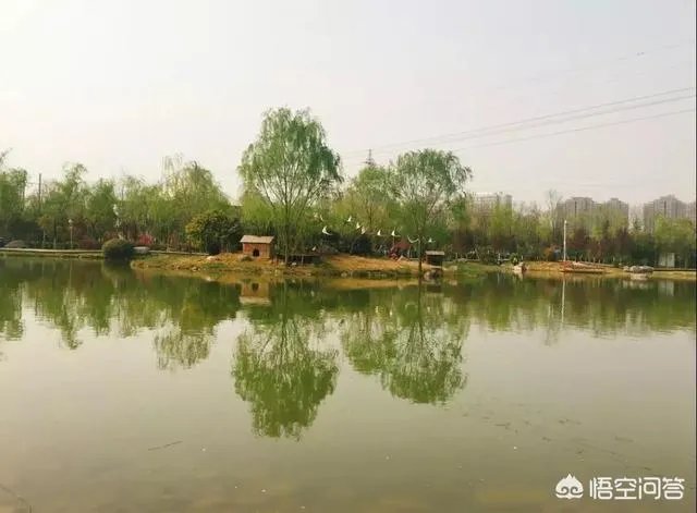 荥阳都有什么好玩的地方?