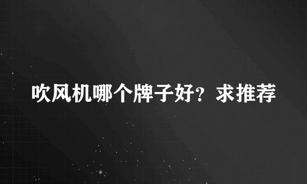 吹风机哪个牌子好？求推荐