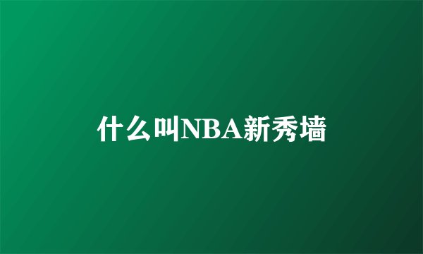 什么叫NBA新秀墙