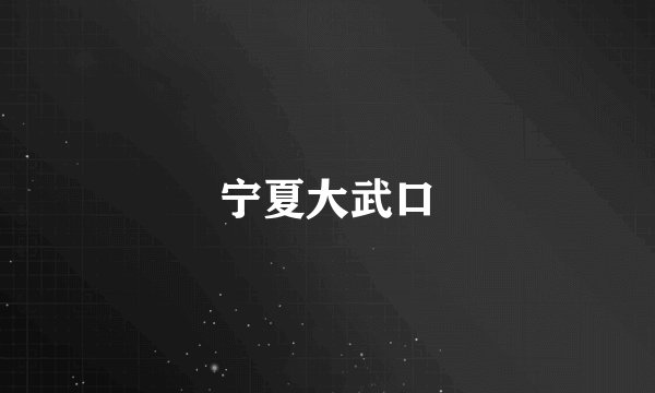 宁夏大武口