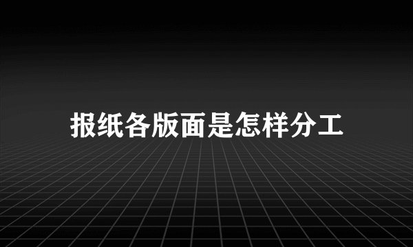 报纸各版面是怎样分工