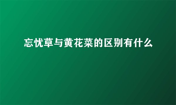 忘忧草与黄花菜的区别有什么