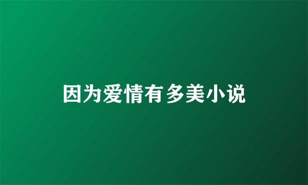 因为爱情有多美小说