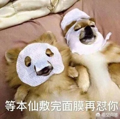 大家分享一下最搞笑的头像图片？